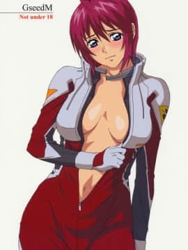 [M (天野雨乃)] (C68) GseedM (機動戦士ガンダムSEED DESTINY)