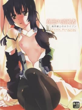 [ABLISS (迷)] (第4回近しき親交のための同人誌好事会) 真逆の清純者 (境界線上のホライゾン)