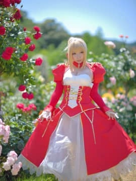 (C93) [Shooting Star's (Saku)] Nero Collection