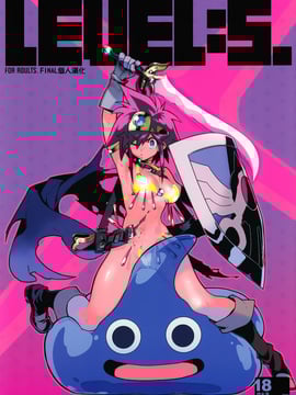 (C89) [刑法第60条、HF (主犯)] LEVEL：5. (ドラゴンクエストIII)
