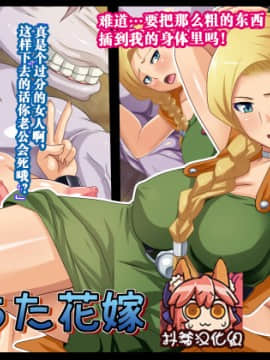 Ochita Hanayome | Fallen Bride (Dragon Quest V)【Chinese】【不咕鸟汉化组】