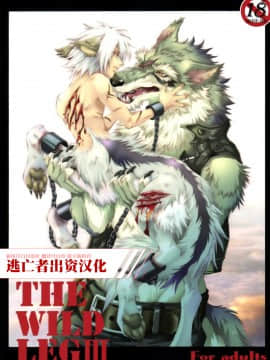 (C78) [GoldenDawn89 (狩鷹明、小野ぬい)] THE WILD LEG III [中国翻訳]