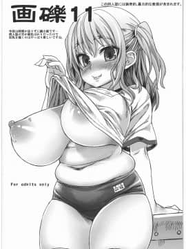 (C81) [Fatalpulse (朝凪)] 画礫11 (よろず)
