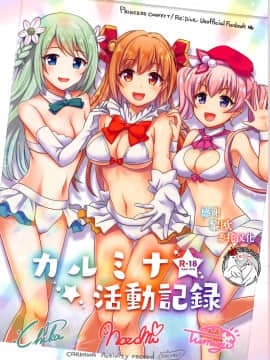 (サンクリ2019 Summer) [fake69rose (夜凪朝妃)] カルミナ活動記録 (プリンセスコネクト!Re:Dive) [不咕鸟汉化组]