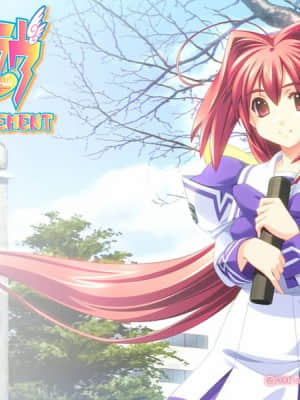 マブラヴ サプリメント(MUV-LUV SUP)