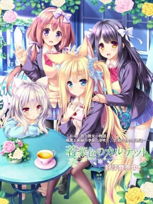 [Lump of Sugar] 若葉色のカルテット