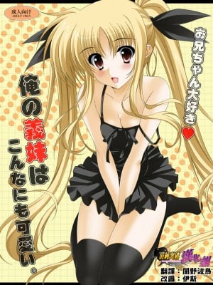 [清純突破漢化] (リリカルマジカル10) [HATENA-BOX (おだけんいち)] 俺の義妹はこんなにも可愛い。 (魔法少女リリカルなのは)