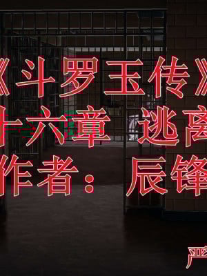 [辰鋒] 鬥羅玉傳 16-20