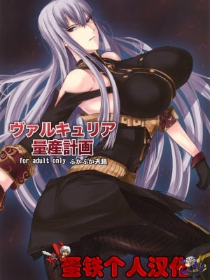 [蛋铁个人汉化] (C76) [ふかふか天職 (とろう)] ヴァルキュリア量産計画 (戦場のヴァルキュリア)