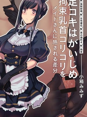 メイドと執事の奉仕事M_vol.1