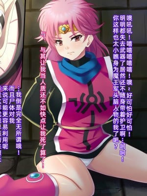 [紫苑汉化组][純禁] 堕ちた僧侶 (ドラゴンクエスト ダイの大冒険)