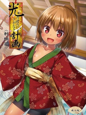 (C91) [ノラネコノタマ (雪野みなと)] 光の君のさがなき計画 ＜軒端荻＞  [zard重嵌,嗶咔嗶咔漢化組] [無修正]