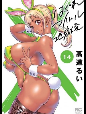 Hagure Idol VOL 14