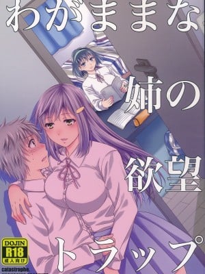 (C90) [catastrophe. (ハルサワ)] わがままな姉の欲望トラップ [中国翻訳]