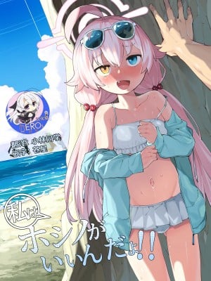 [半里プラザー (半里バード)] ホシノがいいんだよ!! (ブルーアーカイブ) [hEROs汉化组] [DL版]