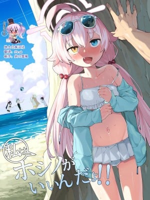 [半里プラザー (半里バード)] ホシノがいいんだよ!! (ブルーアーカイブ) [绅士仓库汉化] [DL版]
