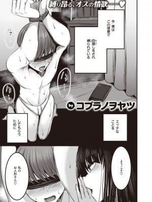 [コブラノヲヤツ] 官能さんは探してる。(COMIC 失楽天 2023年1月号)