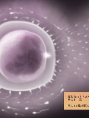 [めでをい] 寝取られネネさん その5 〜排卵日のカノジョの子宮に大量に注がれる、中年オヤジの濃厚孕ませ種汁〜