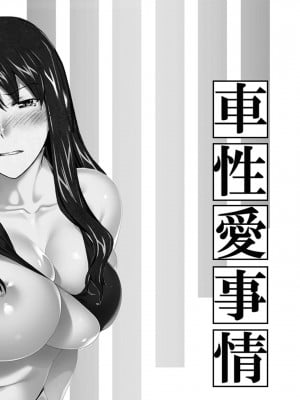 妄想咲子さん Vol.14 ～咲子さんノ車性交事情～ （コラージュ）