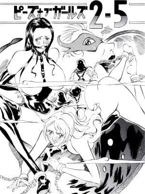 (サンクリ62) [武装女神 (神無月かんな)] ピースオブガールズ2.5 (ワンピース) [不咕鸟汉化组]