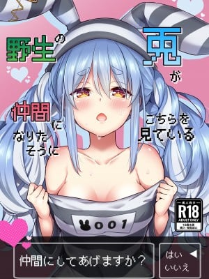 [ハチノコP (ハチゴ)] 野生の兎が仲間になりたそうにこちらを見ている (兎田ぺこら) [DL版]