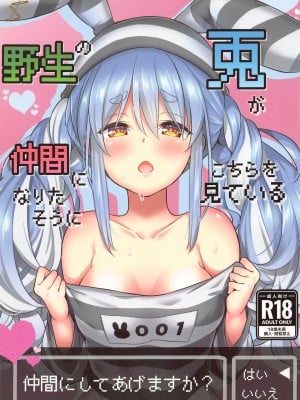 (C102) [ハチノコP (ハチゴ)] 野生の兎が仲間になりたそうにこちらを見ている (兎田ぺこら)