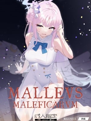 [かわいそうなのは抜ける (ヌケル)] Malleus Maleficarum -魔女に与える鉄槌- [DL版]