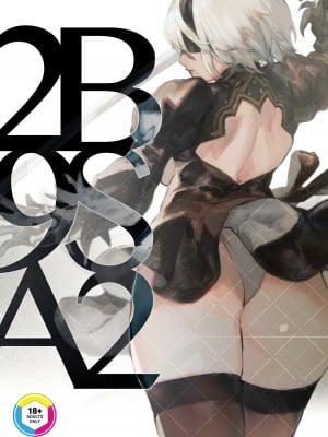 [阿歐印的巡禮日 (阿歐印)] 2B9SA2 (ニーア オートマタ) [English] [無修正]
