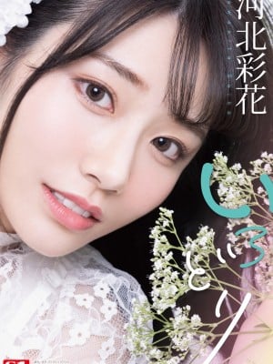 [Saika Kawakita] いろどり