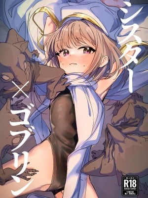 [しまそふと (縦縞キタ)] シスター×ゴブリン [DL版] [5DK个人汉化]