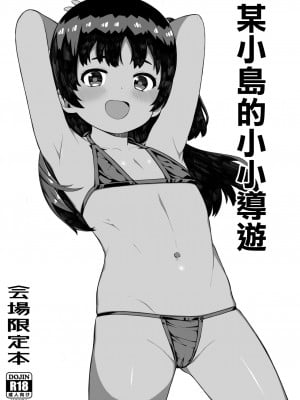 (C96) [ぴるぽろー (廃狼)] とある島の小さな案内人 [中国翻译]