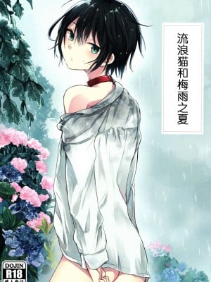 (コミティア117) [青色一座 (あおいろ一号)] のらねことレインデイズ [USEDGUMI个人汉化]