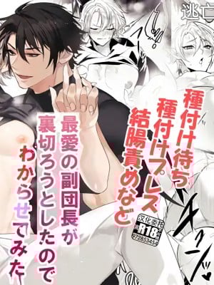 [なついろ乙女] 最愛の副団長が裏切ろうとしたのでわからせてみた [逃亡者×真不可视汉化组]