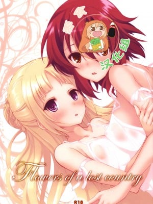 (C91) [セブンデイズホリディ (篠川あるみ、古我望)] Flowers of a lost country (終末のイゼッタ) [零食汉化组]