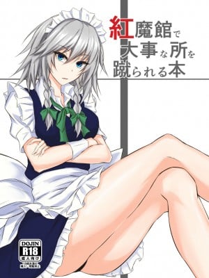 [ぴくち屋 (ピロ)] 紅魔館で大事な所を蹴られる本 (東方Project) [白杨汉化组] [DL版]