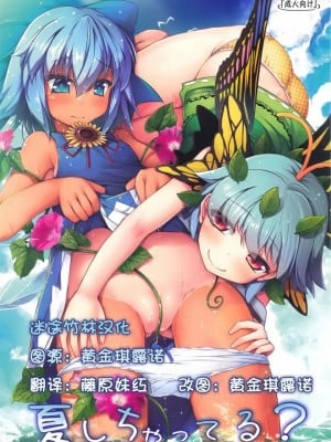 (C93) [あばらんち (チマQ)] 夏しちゃってる (東方Project) [迷途竹林漢化]