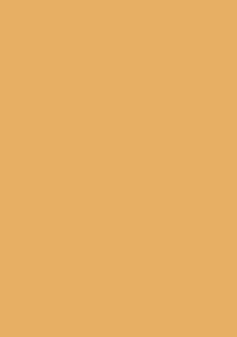 HMSection9_001_004