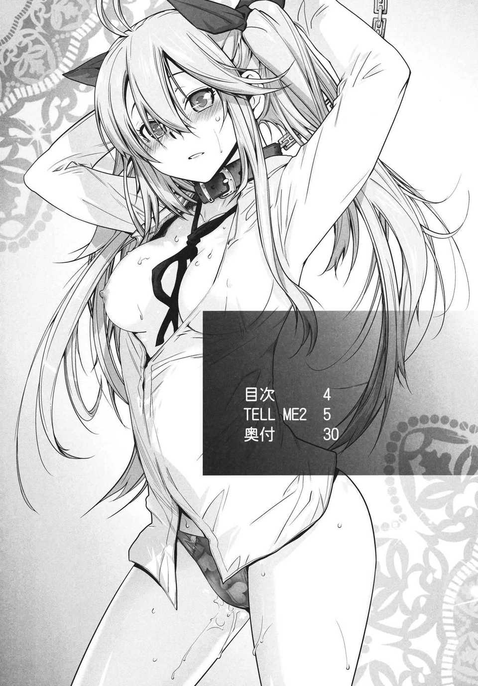 tell2_04