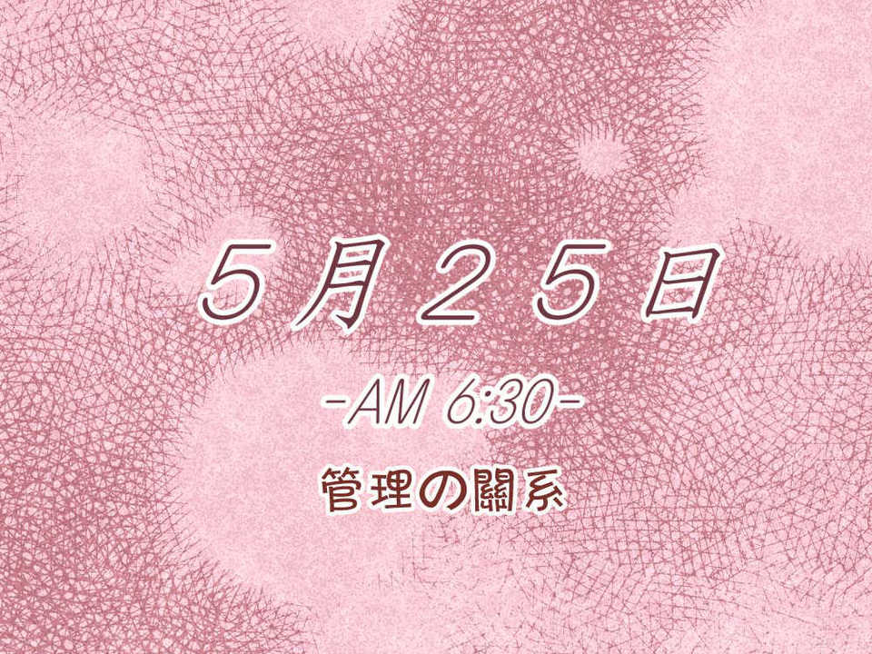049