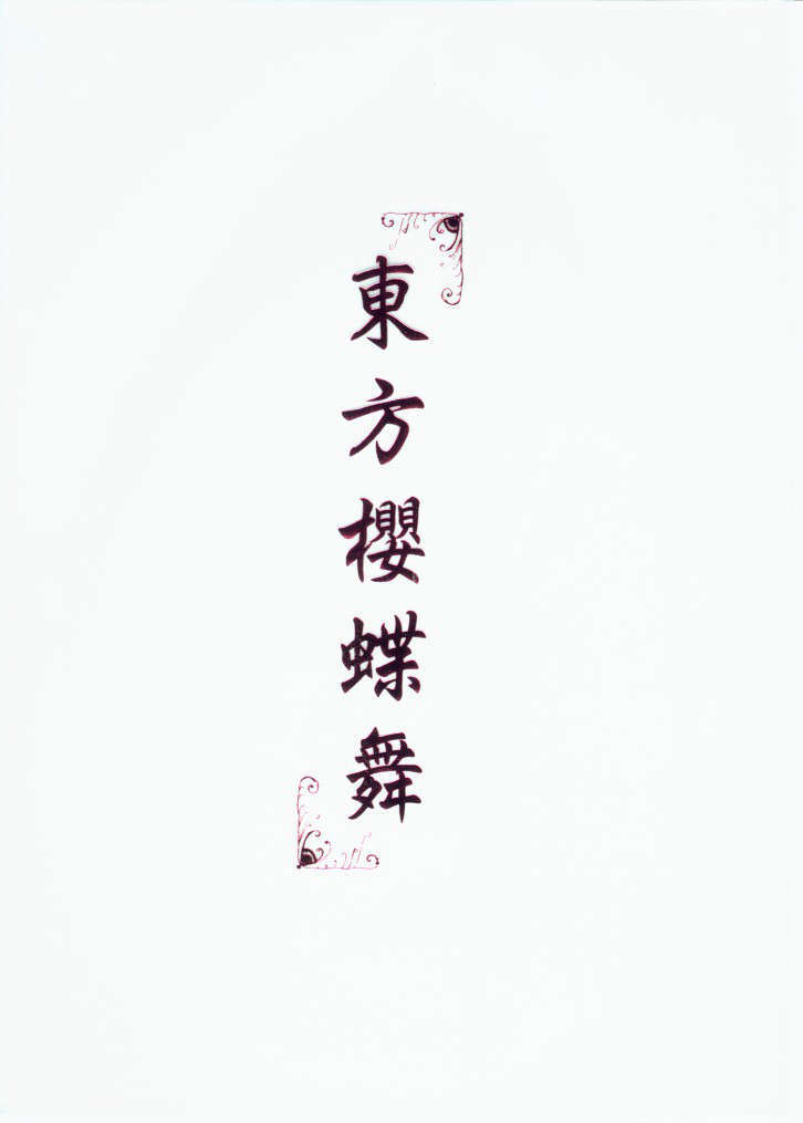 11_a00a