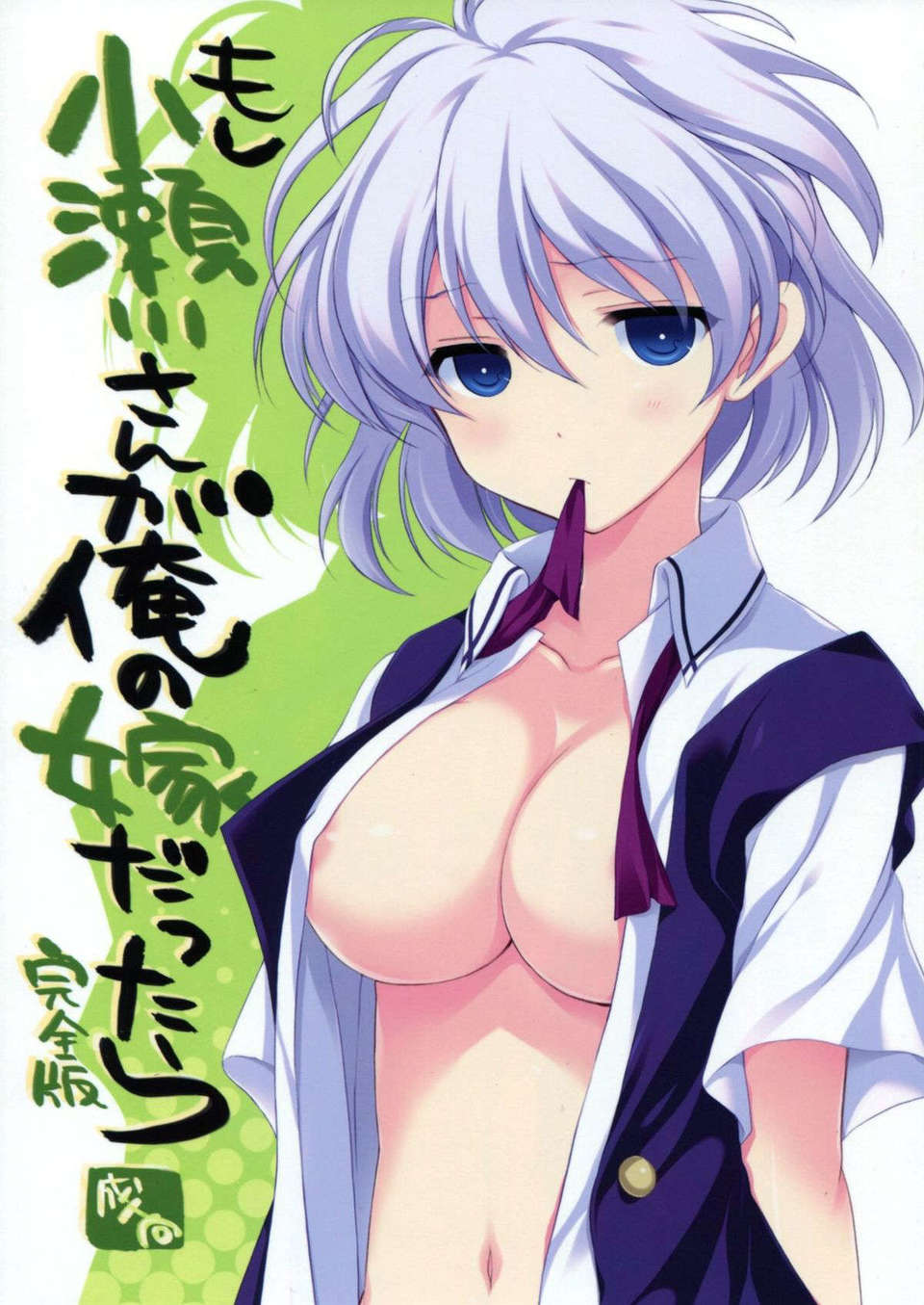 C82VISTA_Odawara_Hakone_Saki001