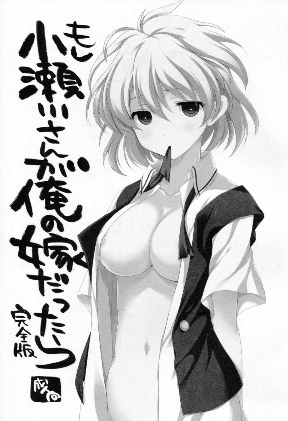 C82VISTA_Odawara_Hakone_Saki003