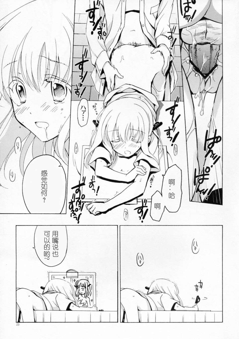 C82VISTA_Odawara_Hakone_Saki023