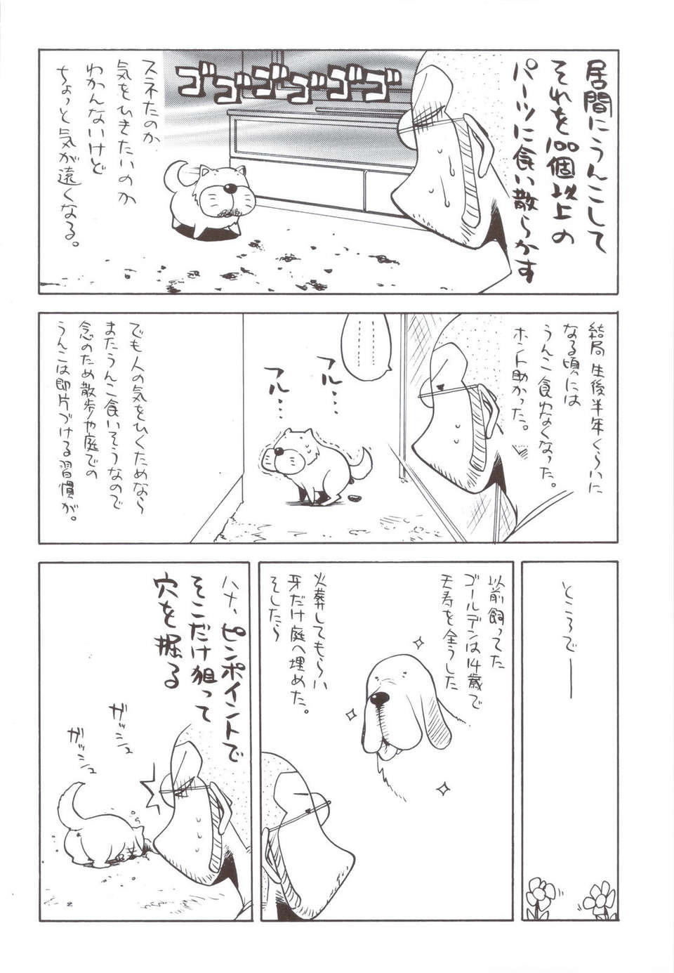 scan0017