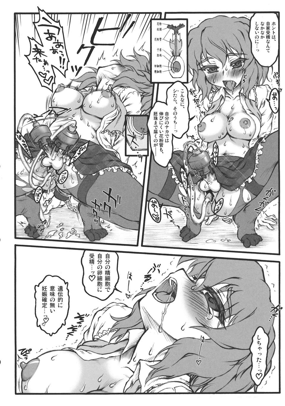 51_SJe_052