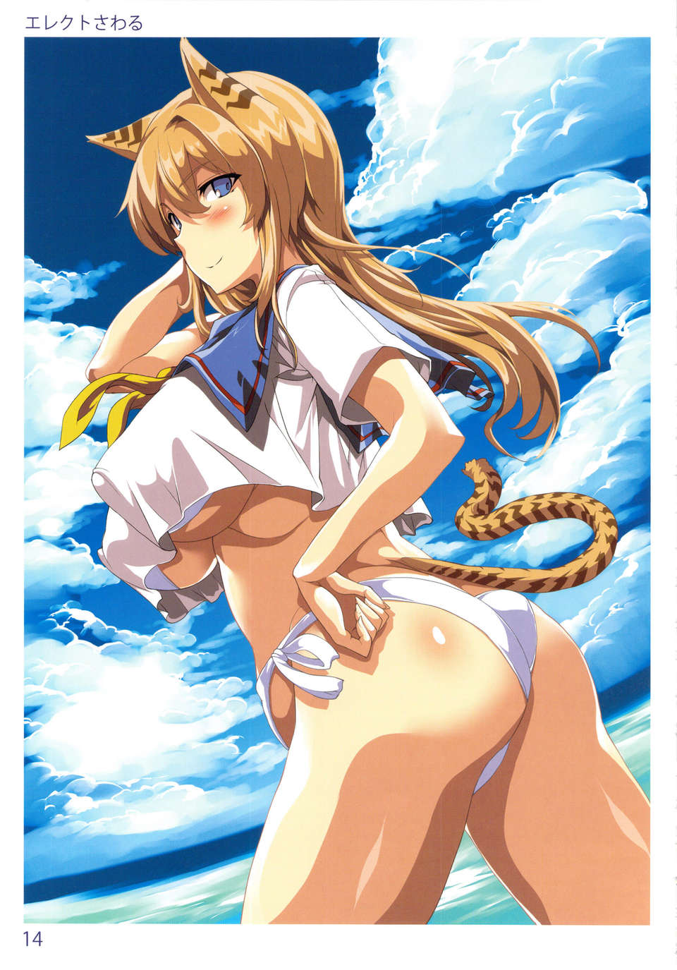 13_tora_14