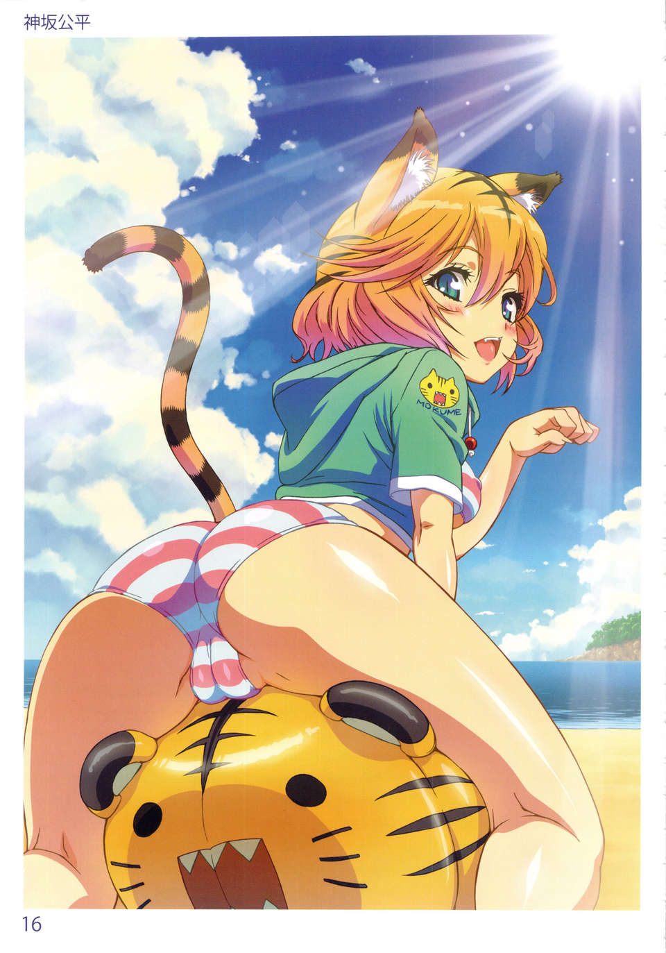 15_tora_16