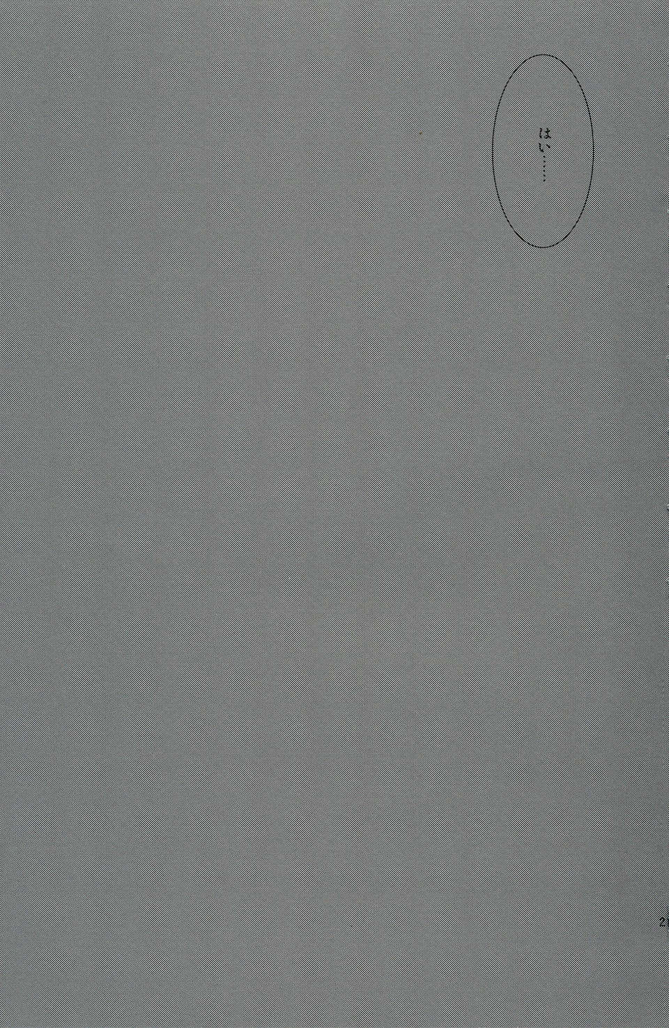 21_0021