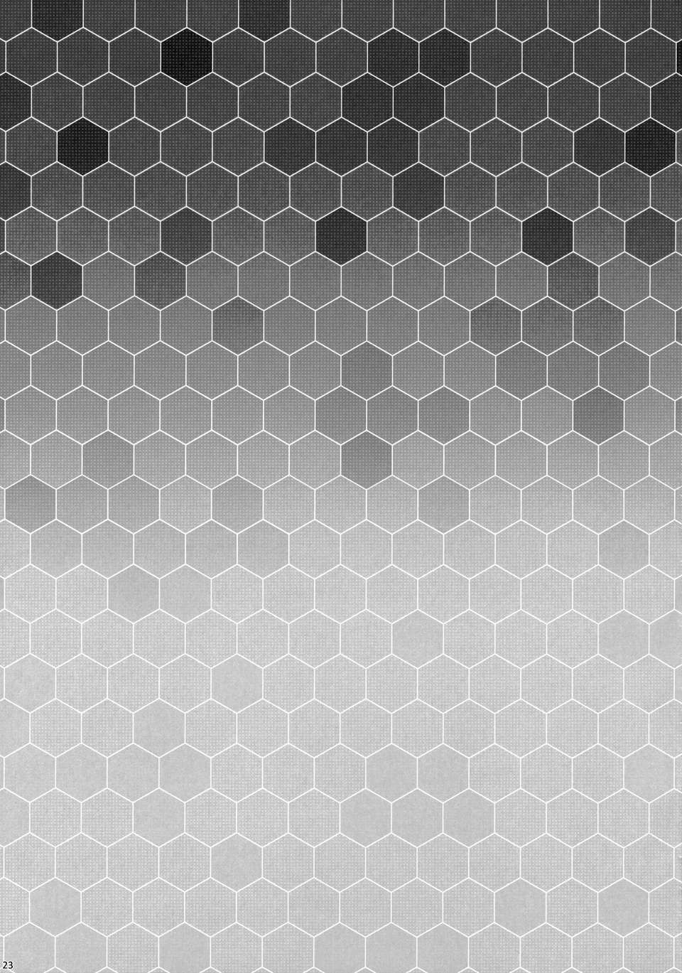 CE_387_023