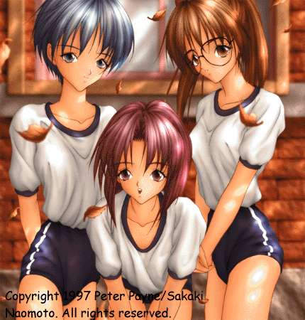 B3COVER
